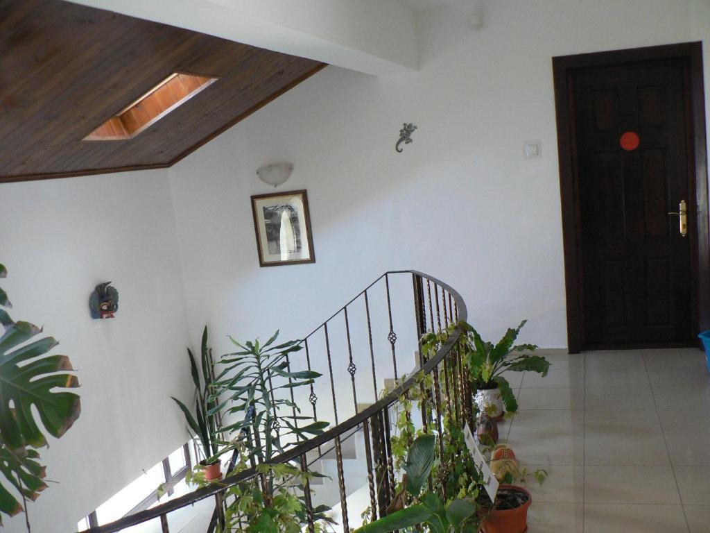 Casa Havana (Adults Only) Costinești Εξωτερικό φωτογραφία