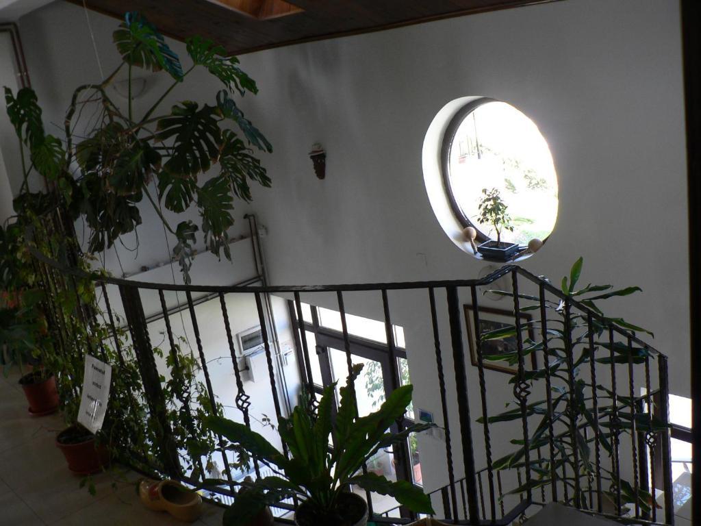 Casa Havana (Adults Only) Costinești Εξωτερικό φωτογραφία