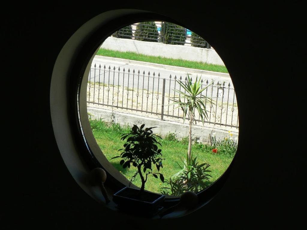 Casa Havana (Adults Only) Costinești Εξωτερικό φωτογραφία