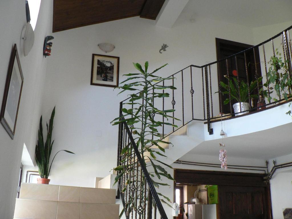 Casa Havana (Adults Only) Costinești Εξωτερικό φωτογραφία
