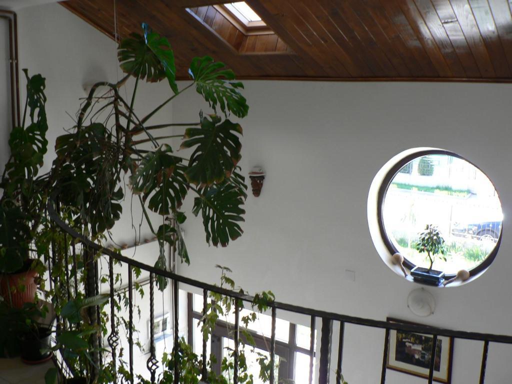 Casa Havana (Adults Only) Costinești Εξωτερικό φωτογραφία