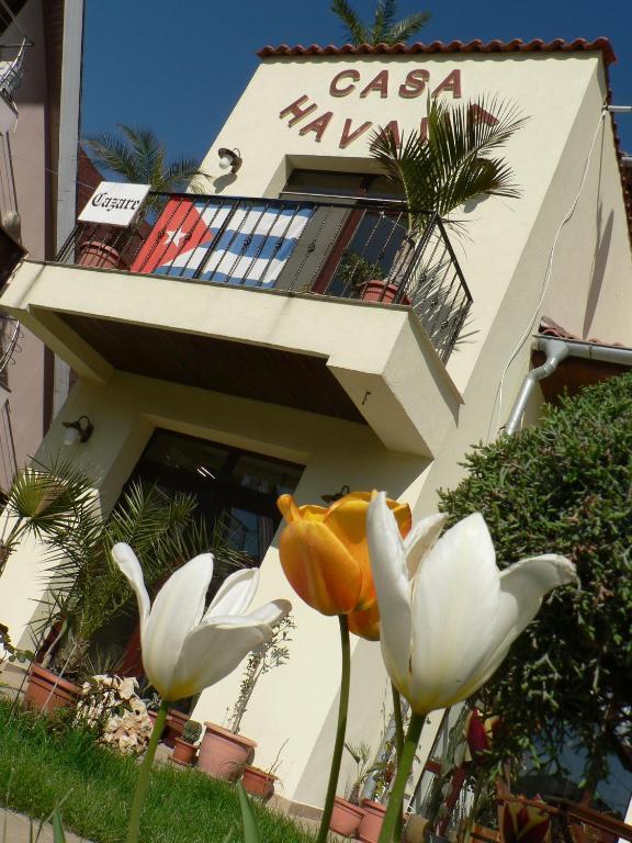 Casa Havana (Adults Only) Costinești Εξωτερικό φωτογραφία