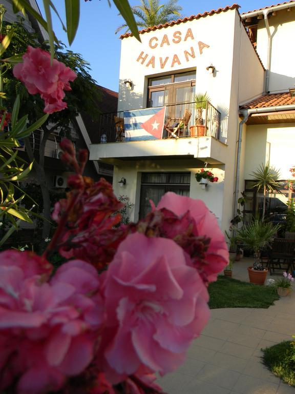 Casa Havana (Adults Only) Costinești Εξωτερικό φωτογραφία