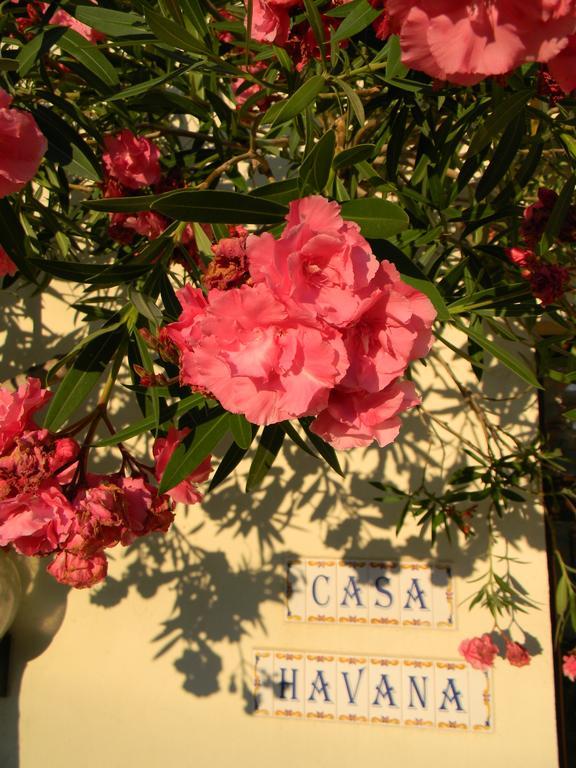 Casa Havana (Adults Only) Costinești Εξωτερικό φωτογραφία