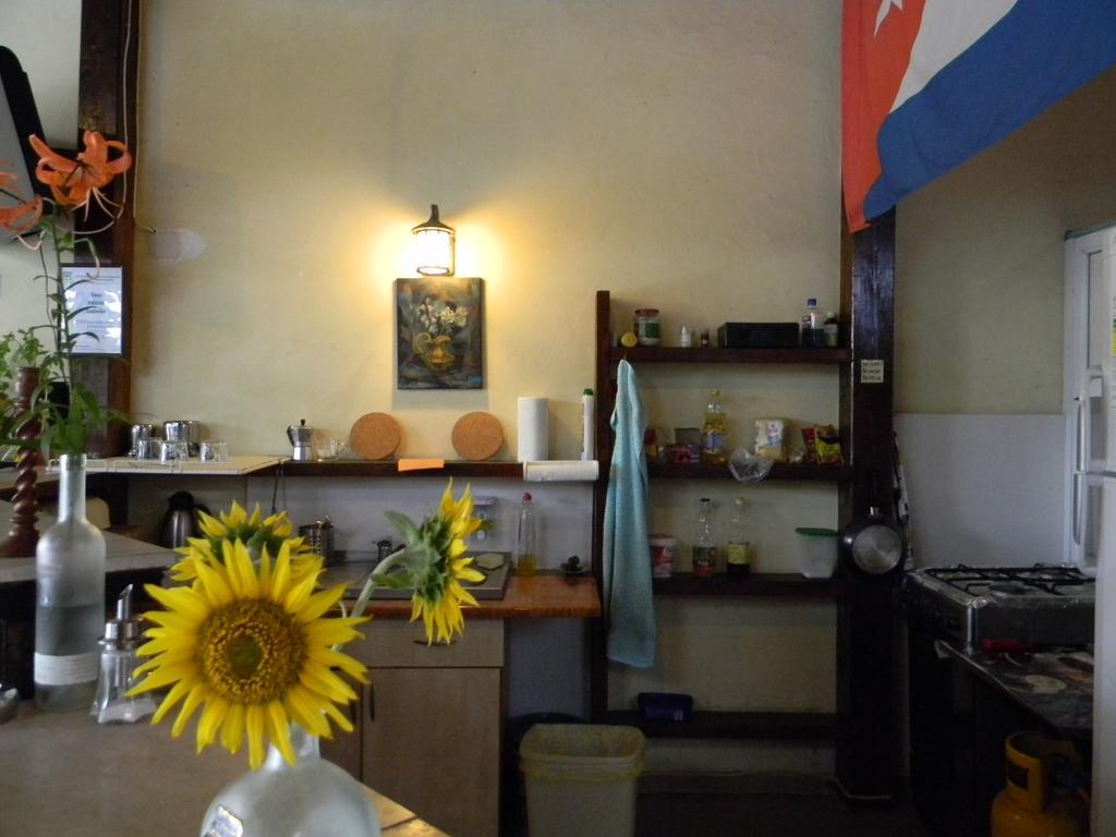 Casa Havana (Adults Only) Costinești Εξωτερικό φωτογραφία
