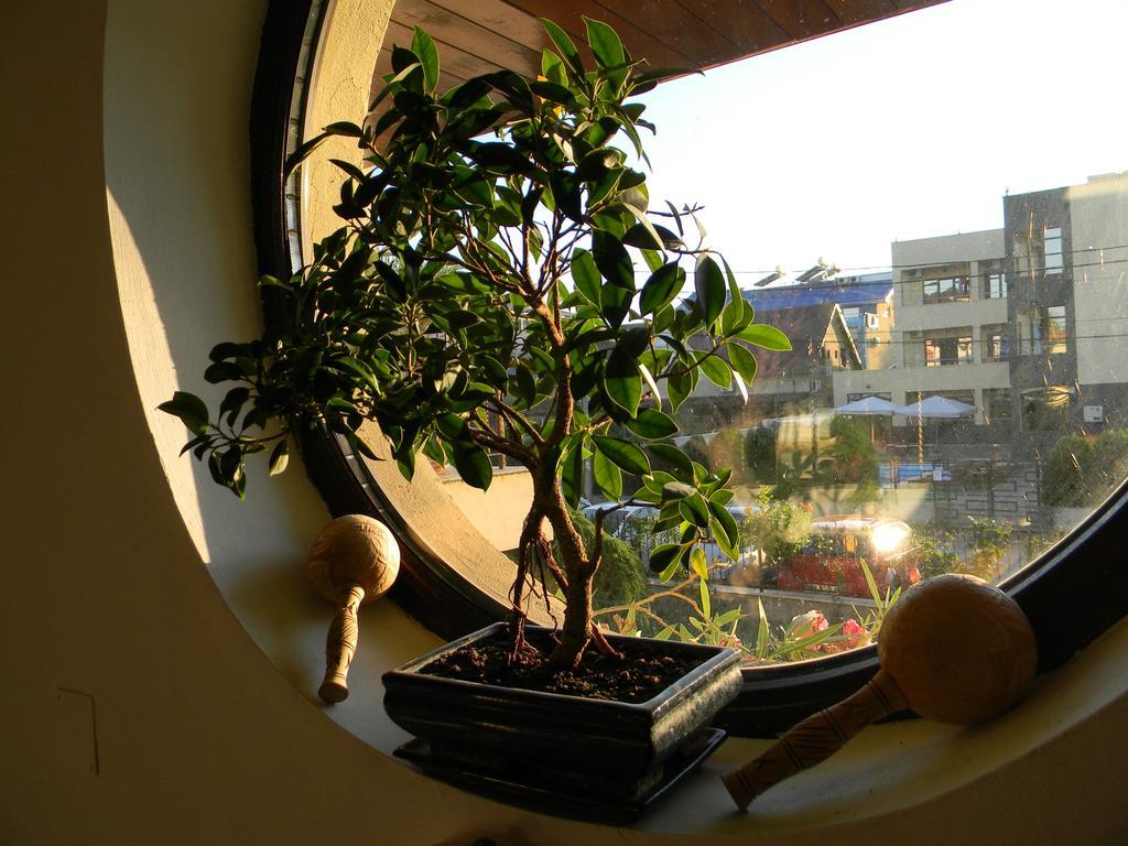 Casa Havana (Adults Only) Costinești Εξωτερικό φωτογραφία